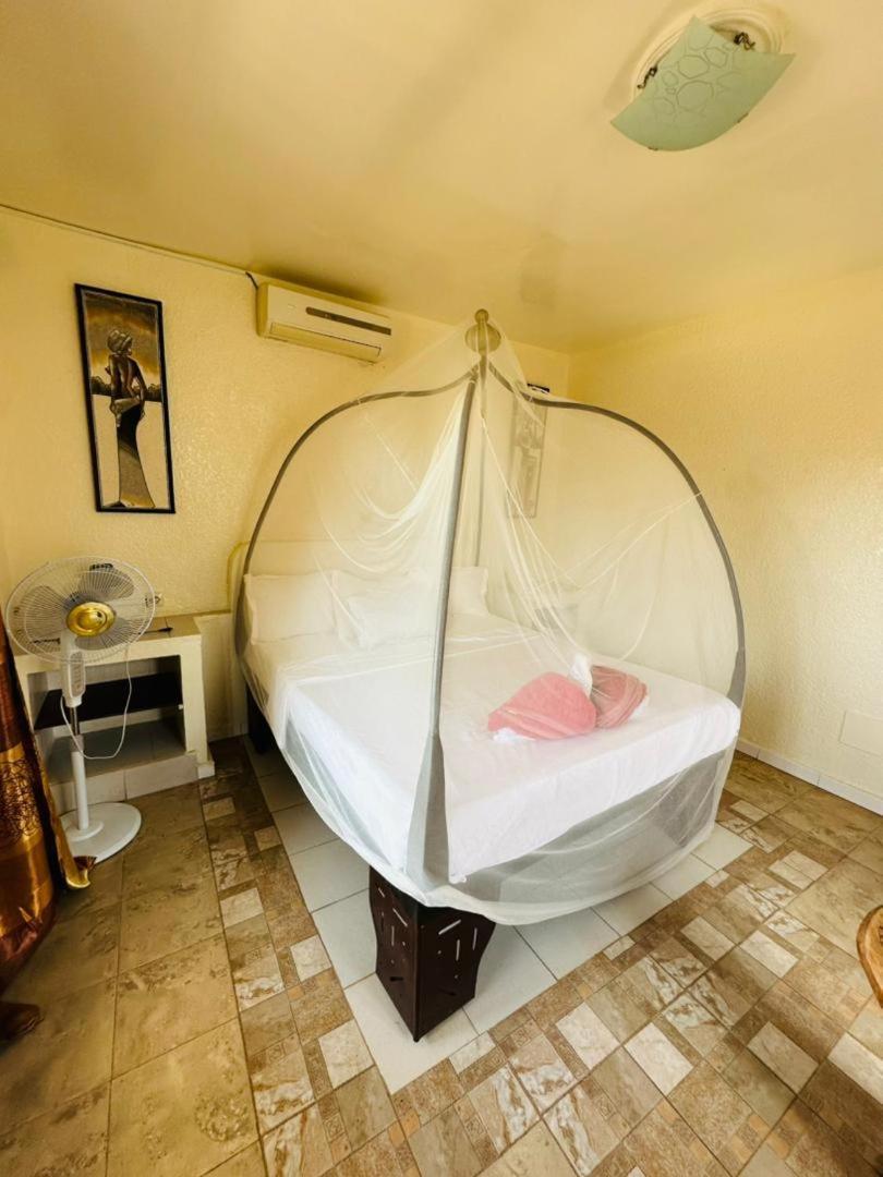 Riad Cote Jardin Салі-Портюдаль Екстер'єр фото